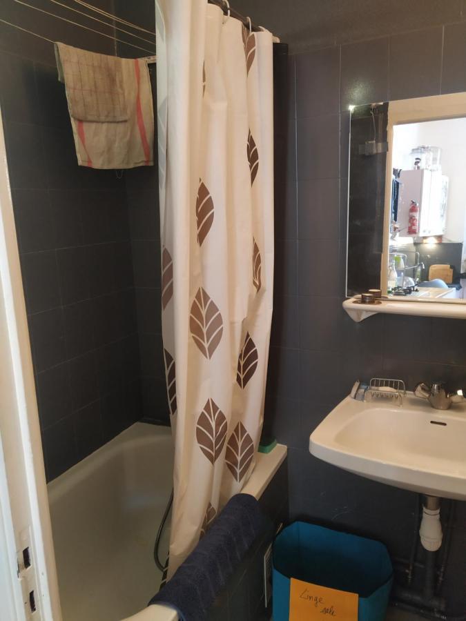 Chaleureux Studio Independant Encausse-les-Thermes Ngoại thất bức ảnh