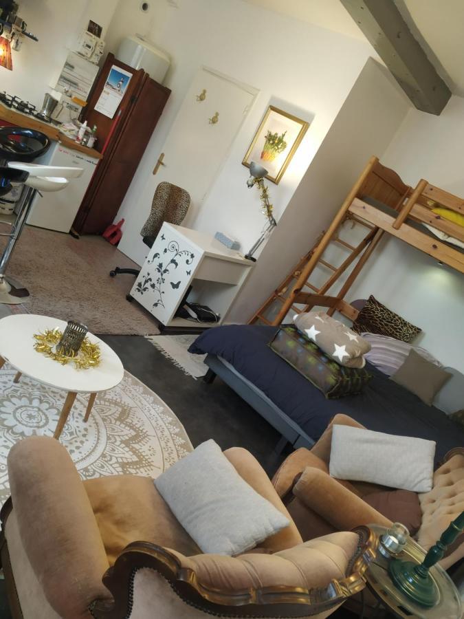 Chaleureux Studio Independant Encausse-les-Thermes Ngoại thất bức ảnh